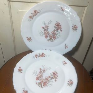 10” vintage Dinner Plates arc arcopal floral design set of 4 perfect condition